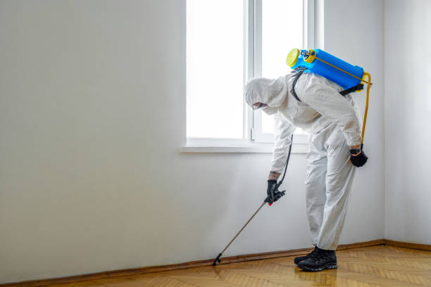 Best Wasp Removal Services  in Lucasville, OH